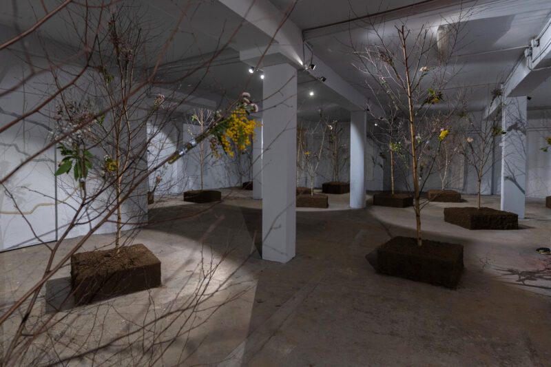 Addam Yekutieli - Endurance is a flower - ©Matteo Berardone