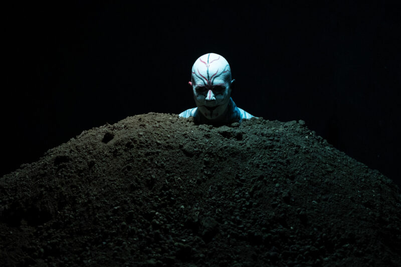 Jean Imbert - Wild - ©Matteo Berardone