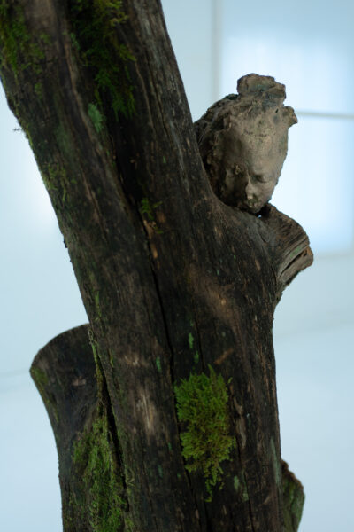 Joaquín Jara - ρυσίχθων - ©Matteo Berardone